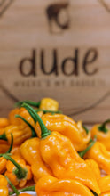 Load image into Gallery viewer, Ghost Peppers