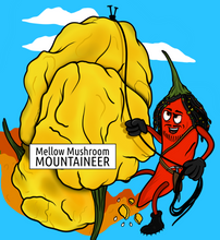 Load image into Gallery viewer, Mellow Mushroom Mountaineer Spice Rub